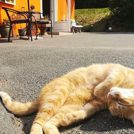 Hotel Pension Waldbaude ヴァルメンシュタイナハ エクステリア 写真