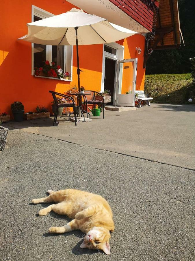 Hotel Pension Waldbaude ヴァルメンシュタイナハ エクステリア 写真