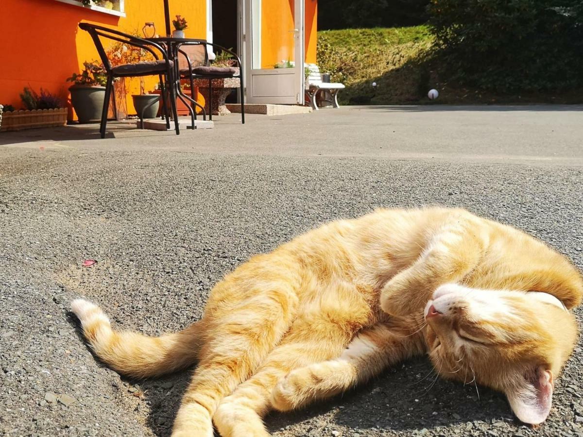 Hotel Pension Waldbaude ヴァルメンシュタイナハ エクステリア 写真