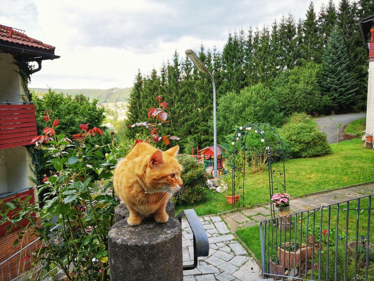 Hotel Pension Waldbaude ヴァルメンシュタイナハ エクステリア 写真