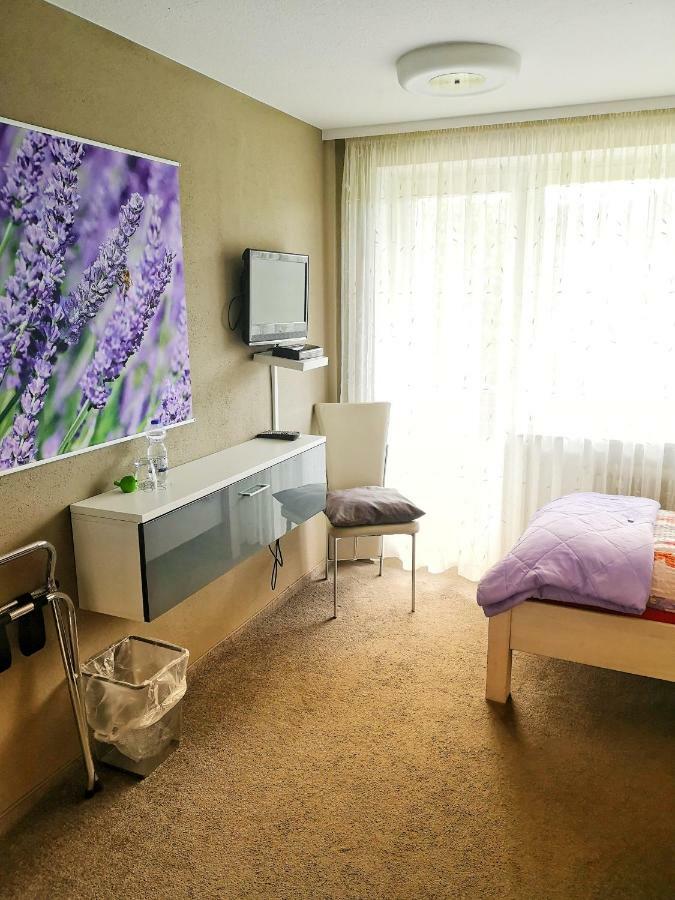 Hotel Pension Waldbaude ヴァルメンシュタイナハ エクステリア 写真